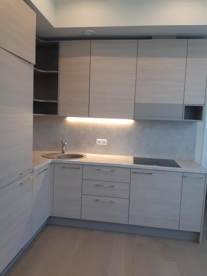 Apartment In Druskininkai City Centre Екстериор снимка