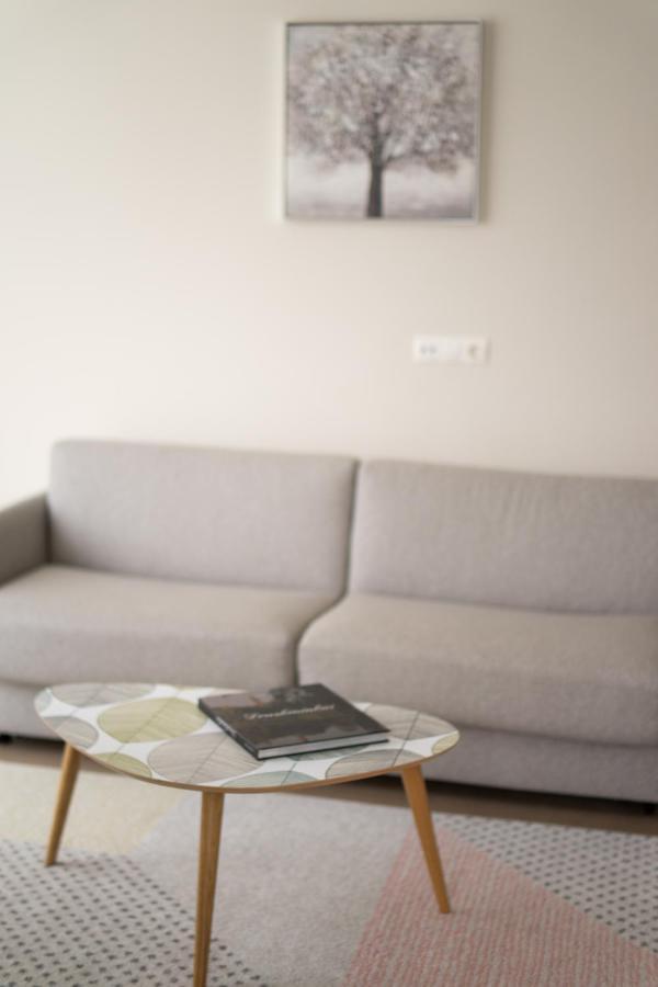 Apartment In Druskininkai City Centre Екстериор снимка